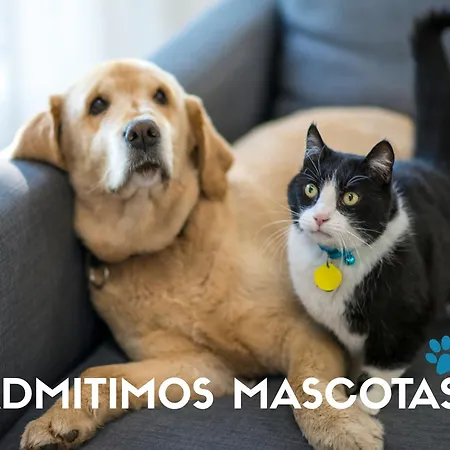 3000 * سْييرا نيفادا